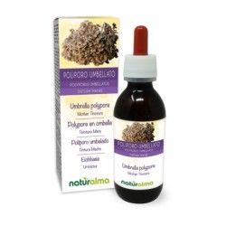 Poliporo umbellato Tintura madre 120 ml liquido analcoolico -...