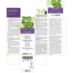 Angelica Cinese Tintura madre 120 ml liquido analcoolico - Naturalma