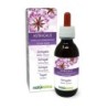 Astragalo Tintura madre 120 ml liquido analcoolico - Naturalma