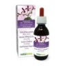 Geranio del Sudafrica Tintura madre 120 ml liquido analcoolico - Naturalma