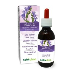 Scutellaria Americana Tintura madre 120 ml liquido analcoolico -...
