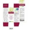Chestnut Bud Fiori di Bach 30 ml liquido analcoolico - Naturalma