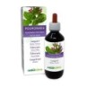 Polmonaria Tintura madre 200 ml liquido analcoolico - Naturalma