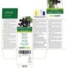 Sambuco nero 300 compresse (150 g) - Naturalma