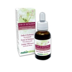 Star of Bethlehem Fiori emozionali 30 ml liquido analcoolico -...
