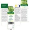 Angelica cinese 300 compresse (150 g) - Naturalma