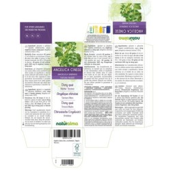 Angelica Cinese Tintura madre 60 ml liquido analcoolico - Naturalma