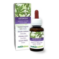 Artemisia Tintura madre 60 ml liquido analcoolico - Naturalma