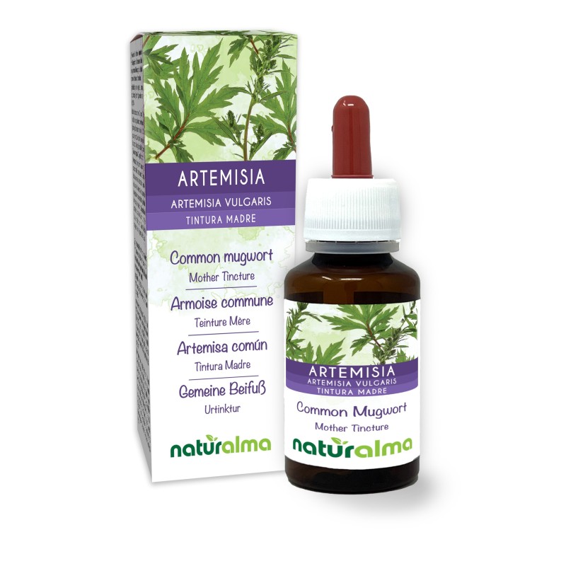Artemisia Tintura madre 60 ml liquido analcoolico - Naturalma