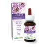 Astragalo Tintura madre 60 ml liquido analcoolico - Naturalma