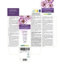 Astragalo Tintura madre 60 ml liquido analcoolico - Naturalma