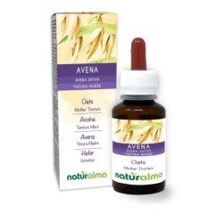 Avena Tintura madre 60 ml liquido analcoolico - Naturalma
