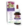 Bardana Tintura madre 60 ml liquido analcoolico - Naturalma