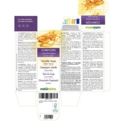 Cordyceps Tintura madre 60 ml liquido analcoolico - Naturalma