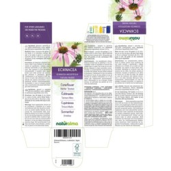 Echinacea Tintura madre 60 ml liquido analcoolico - Naturalma