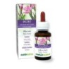Epilobio Tintura madre 60 ml liquido analcoolico - Naturalma