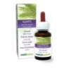Equiseto Tintura madre 60 ml liquido analcoolico - Naturalma