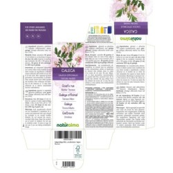 Galega Tintura madre 60 ml liquido analcoolico - Naturalma