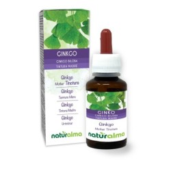 Ginkgo Tintura madre 60 ml liquido analcoolico - Naturalma