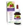 Lampone Tintura madre 60 ml liquido analcoolico - Naturalma