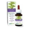 Licopo Europeo Tintura madre 60 ml liquido analcoolico - Naturalma