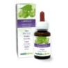 Luppolo Tintura madre 60 ml liquido analcoolico - Naturalma