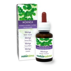 Moringa Tintura madre 60 ml liquido analcoolico - Naturalma