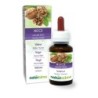 Noce Tintura madre 60 ml liquido analcoolico - Naturalma