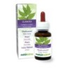 Olmaria Tintura madre 60 ml liquido analcoolico - Naturalma