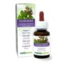Polmonaria Tintura madre 60 ml liquido analcoolico - Naturalma