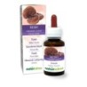 Reishi Tintura madre 60 ml liquido analcoolico - Naturalma