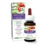 Rosa Canina Tintura madre 60 ml liquido analcoolico - Naturalma