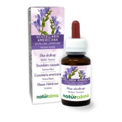 Scutellaria Americana Tintura madre 60 ml liquido analcoolico -...