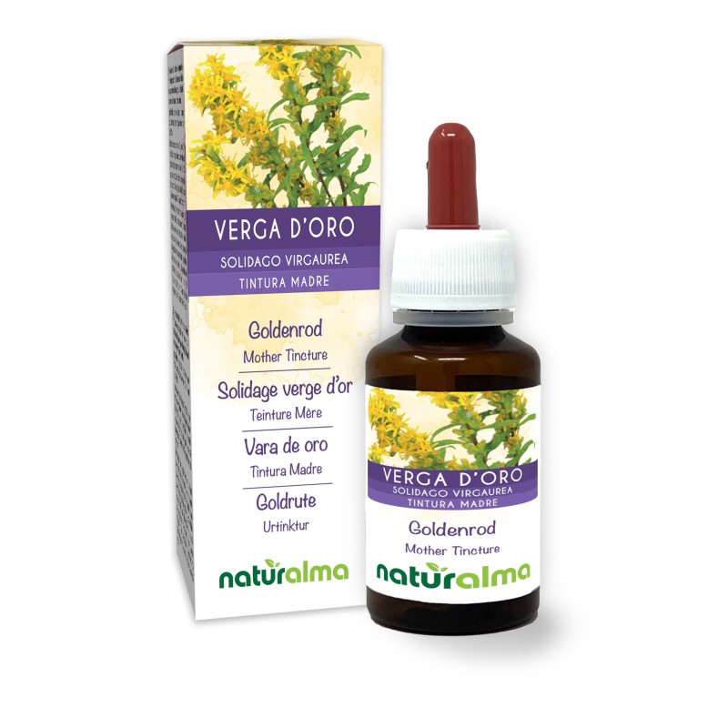 Verga d'oro Tintura madre 60 ml liquido analcoolico - Naturalma