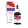 Vite rossa Tintura madre 60 ml liquido analcoolico - Naturalma