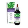 Moringa Tintura madre 200 ml liquido analcoolico - Naturalma
