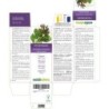 Polmonaria Tintura madre 500 ml liquido analcoolico - Naturalma