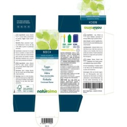 Beech Fiori emozionali o Fiori di Bach 30 ml liquido alcoolico - Naturalma