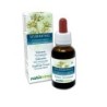 Scleranthus Fiori emozionali o Fiori di Bach 30 ml liquido alcoolico - Naturalma