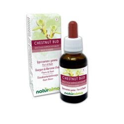 Chestnut Bud Fiori emozionali o Fiori di Bach 30 ml liquido...