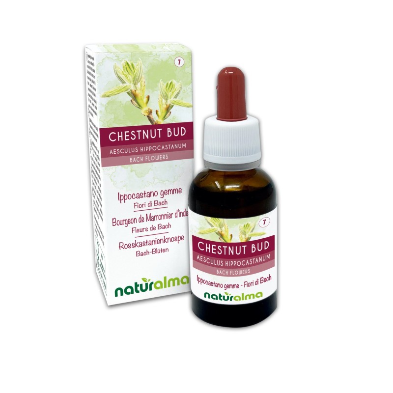 Chestnut Bud Fiori emozionali o Fiori di Bach 30 ml liquido analcoolico - Naturalma
