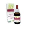 Chestnut Bud Fiori emozionali o Fiori di Bach 30 ml liquido analcoolico - Naturalma