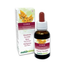 Gorse Fiori emozionali o Fiori di Bach 30 ml liquido analcoolico -...
