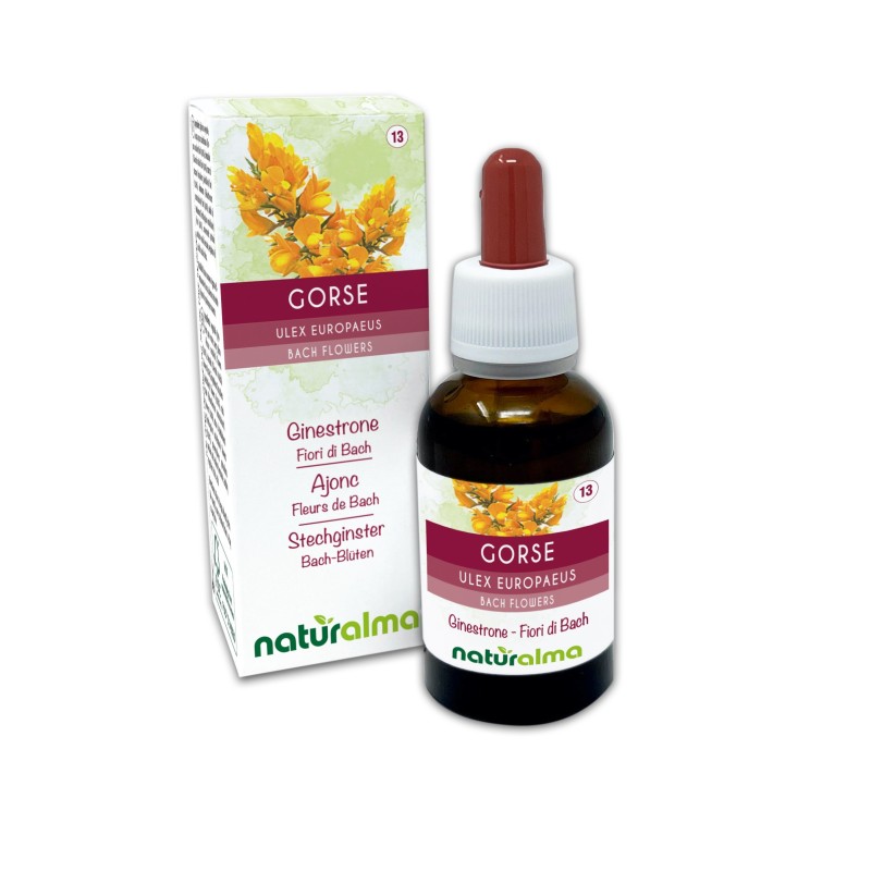 Gorse Fiori emozionali o Fiori di Bach 30 ml liquido analcoolico - Naturalma