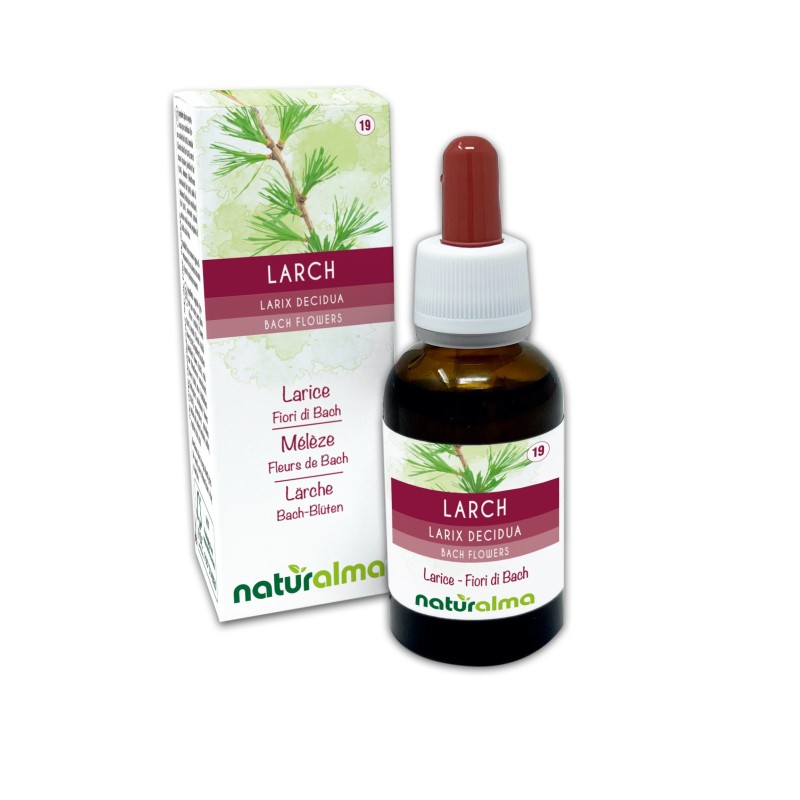 Larch Fiori emozionali o Fiori di Bach 30 ml liquido analcoolico - Naturalma