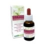 Star of Bethlehem Fiori emozionali o Fiori di Bach 30 ml liquido analcoolico - Naturalma