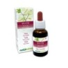 Willow Fiori emozionali o Fiori di Bach 30 ml liquido analcoolico - Naturalma
