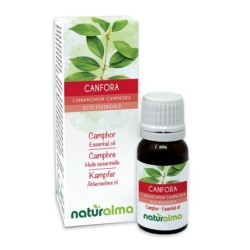 Canfora Olio essenziale 10 ml - Naturalma