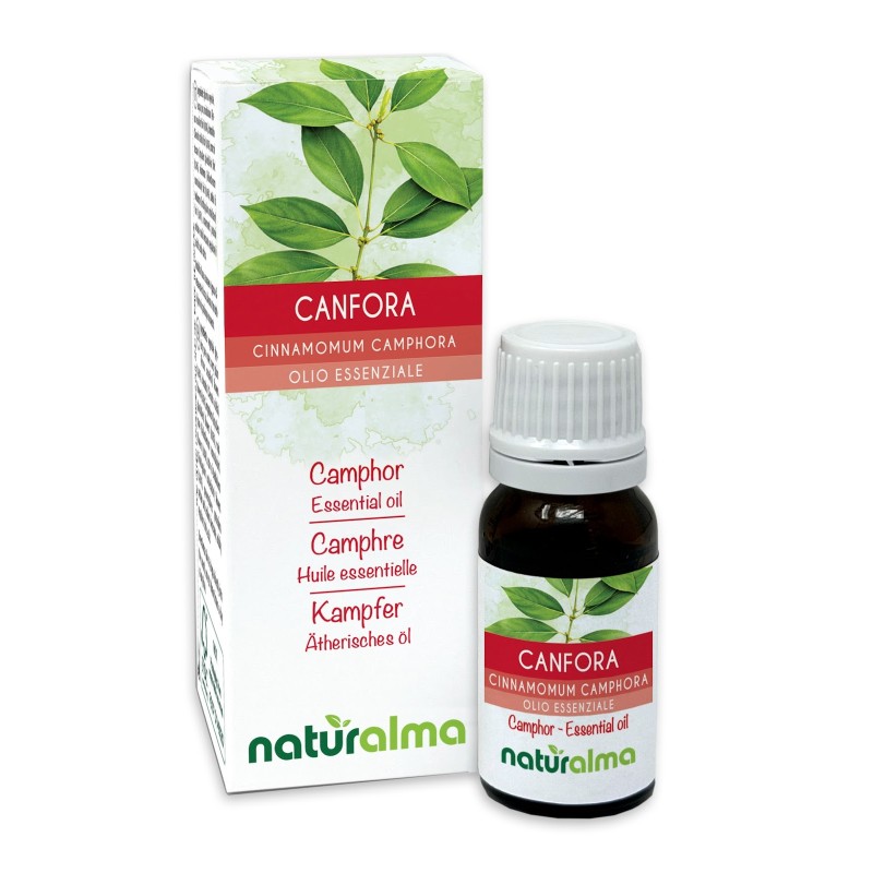 Canfora Olio essenziale 10 ml