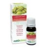 Cardamomo Olio essenziale 10 ml